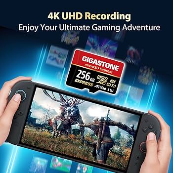Amazon | GIGASTONE 256GB マイクロSD Express microSDXC
